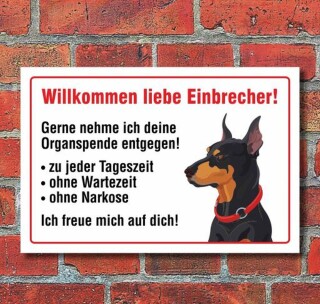 Vorsicht "Willkommen", Dobermann, Hund, Schild, Hinweis, 3 mm Alu-Verbund Motiv 2 300 x 200 mm