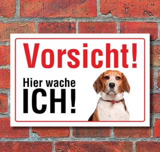 Vorsicht "Hier wache ich", Beagle, Hund, Schild, Hinweis, 3 mm Alu-Verbund Motiv 1 300 x 200 mm