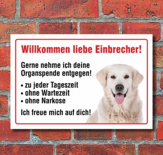 Vorsicht "Willkommen", Golden Retriever, Hund, Schild, Hinweis, 3 mm Alu-Verbund Motiv 2 300 x 200 mm