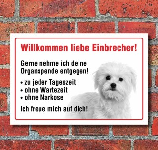 Vorsicht "Willkommen", Malteser, Hund, Schild,  3 mm Alu-Verbund Motiv 2 300 x 200 mm
