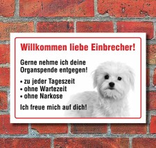 Vorsicht "Willkommen", Malteser, Hund, Schild,...