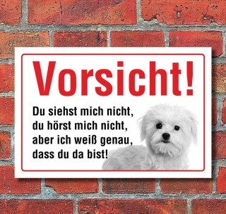 Vorsicht "Siehst mich nicht", Malteser, Hund, Schild,  3 mm Alu-Verbund Motiv 6 300 x 200 mm