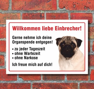 Vorsicht "Willkommen", Mops, Hund, Schild,  3 mm Alu-Verbund Motiv 2 300 x 200 mm