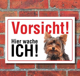 Vorsicht "Hier wache ich", Yorkshire Terrier, Hund, Schild,  3 mm Alu-Verbund Motiv 1 300 x 200 mm
