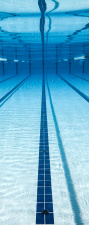 T&uuml;rtapete &quot;Unter Wasser, Pool&quot;, T&uuml;rposter, selbstklebend 2050 x 880 mm
