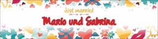 Banner Plane "Hochzeit 4" Geschenk Feier Just married Hochzeitsdeko mit Ösen 4000 x 1000 mm