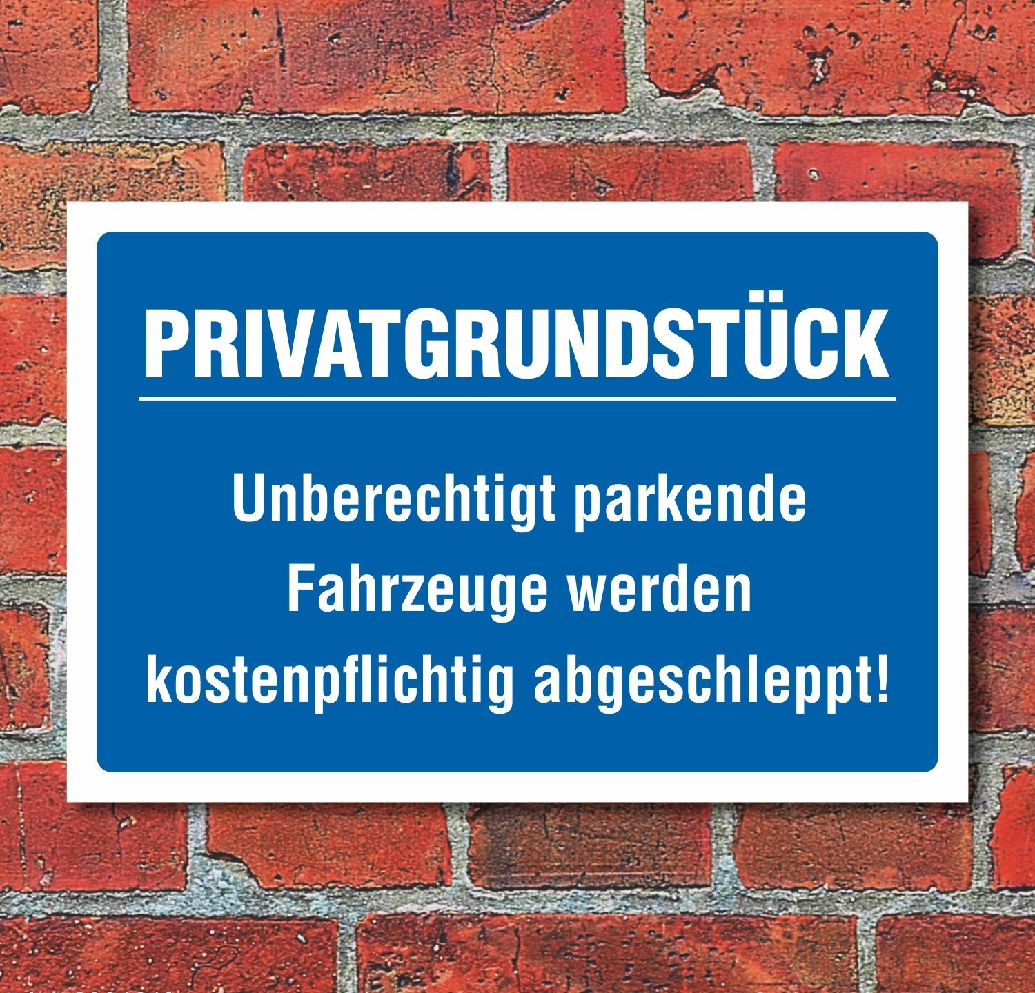 5 x Schild PVC Privatgrundstück Parken verboten 250x150mm Parkverbot 5 Stück 