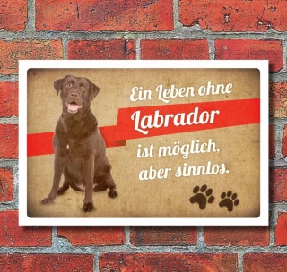 Schild Vintage Retro Deko Geschenk Ein Leben ohne Labrador 3 mm Alu-Verbund  600 x 400 mm