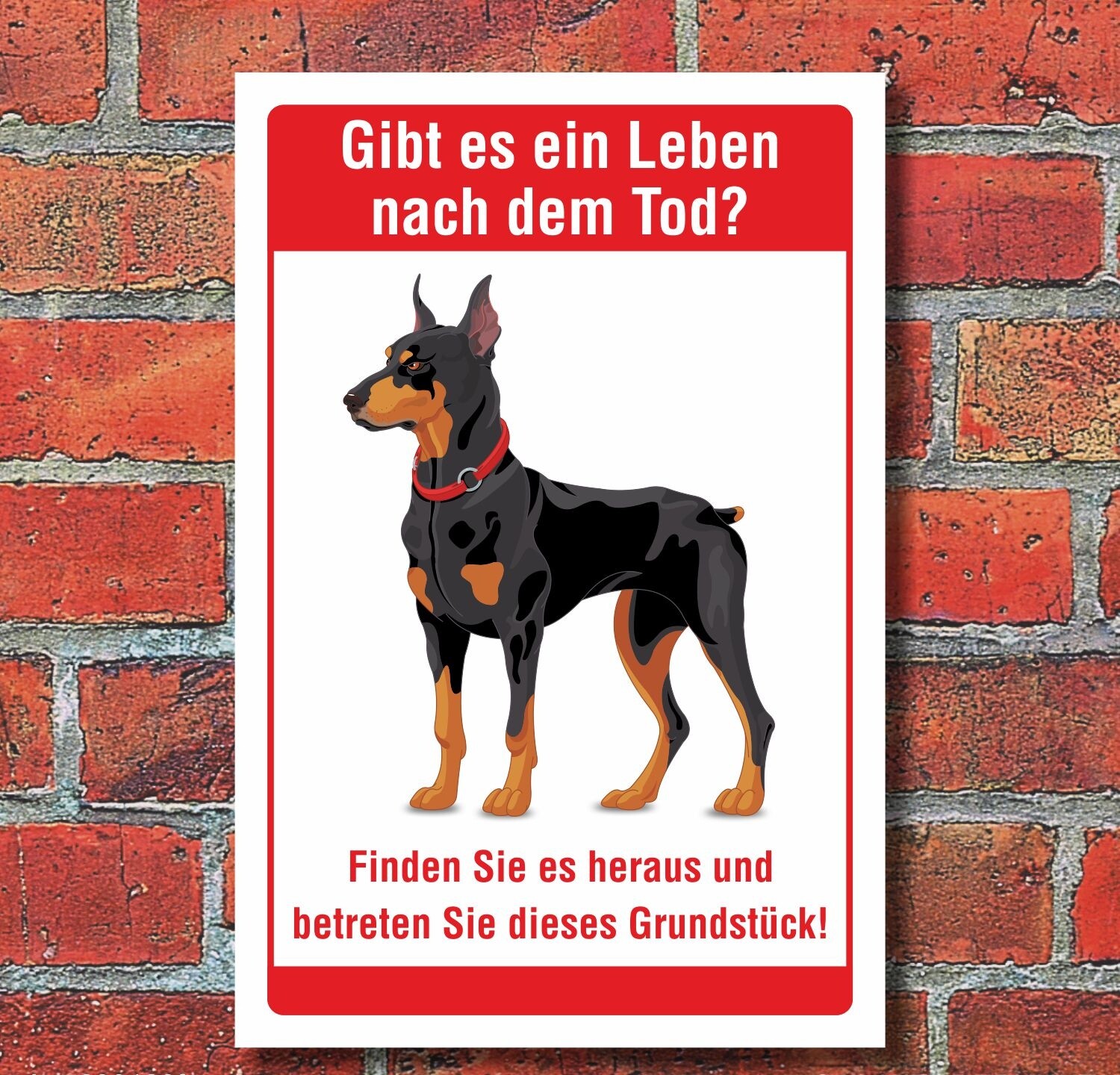 Hundeschild Gibt Es Ein Leben Nach Dem Tod Schild Leben nach dem Tod Betreten verboten Freilaufender Hund 3 mm A