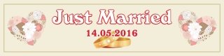 PVC Werbebanner Banner Plane Just married Hochzeit Heirat Polterabend mit &Ouml;sen