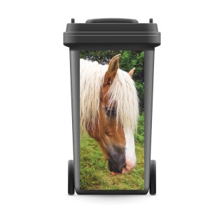 Mülltonnenaufkleber Mülltonne Mülleimer Abfalltonne Pferd Hengst- 800 x 370 mm