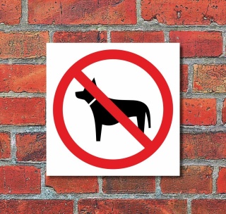 Schild Hunde verboten T&uuml;rschild Hinweisschild 200 x 200 mm