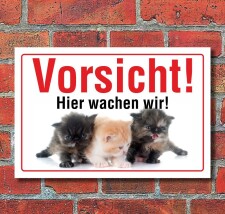 Schild Hier wachen wir Katzen Kätzchen Kitten...