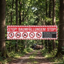 Das Bild zeigt ein großes, rotes Schild mit der Aufschrift STOP! BAUMFÄLLUNGEN! STOP! und mehreren Symbolen, die verschiedene Verbote darstellen, wie das Betreten des Bereichs, das Fahren mit Fahrzeugen und das Radfahren. Das Schild befindet sich in einem Waldgebiet und warnt vor Lebensgefahr durch laufende Forstarbeiten.