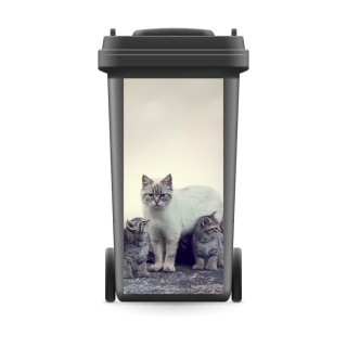 Mülltonnenaufkleber Mülltonne Abfalltonne Sticker Aufkleber Katzen Kinder Junges- 720 x 320 mm