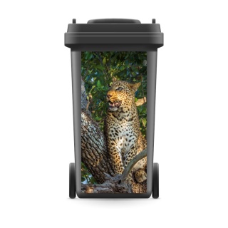 Mülltonnenaufkleber Mülltonne Abfalltonne Sticker Aufkleber Leopard - 720 x 320 mm