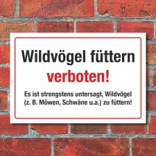 Schild Wildvögel füttern verboten Möwen Schwäne Hinweisschild 3 mm Alu-Verbund 300 x 200 mm