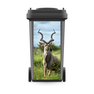 M&uuml;lltonnenaufkleber M&uuml;lltonne Abfalltonne Sticker Antilope Kudu Afrika Savanne