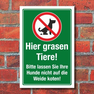 Schild Tiere Weide Hunde anleinen Hundekot entfernen 3 mm Alu-Verbund 450 x 300 mm