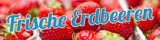 PVC Werbebanner Banner Plane Frische Erdbeeren Obst &Ouml;sen