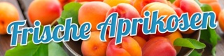 PVC Werbebanner Banner Plane Frische Aprikosen Obst &Ouml;sen