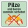 Schild Pilze Beeren sammeln verboten Hinweisschild 3 mm Alu-Verbund 200 x 200 mm