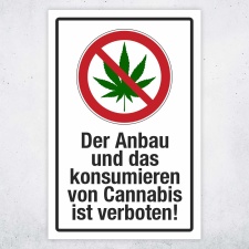 Schild Cannabis Anbau und konsomieren verboten...