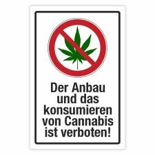 Schild Cannabis Anbau und konsomieren verboten Hinweisschild 3 mm Alu-Verbund 300 x 200 mm