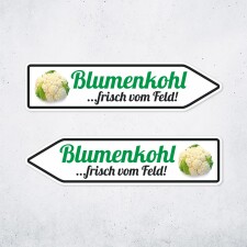 Pfeilschild "Blumenkohl …frisch vom...