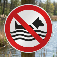 Schild „Hunde schwimmen verboten“ – Alu-Verbund 3 mm rund ∅30 cm