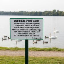 Hinweisschild „Enten & Schwäne nicht füttern“ – Wasserqualität schützen (Bürgermeister) – Alu-Verbund 3 mm, UV-Direktdruck