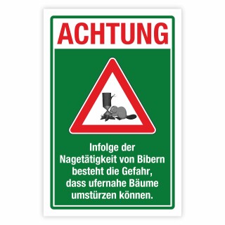 Achtung Biber Gefahr umstürzende Bäume