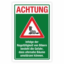 Achtung Biber Gefahr umstürzende Bäume