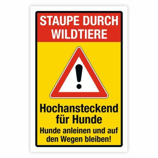 Staupe durch Wildtiere